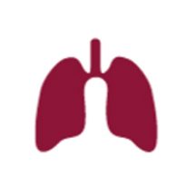 диагностика астмы в германии