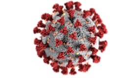Актуальная информация о коронавирусе