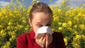 Тест на аллергию