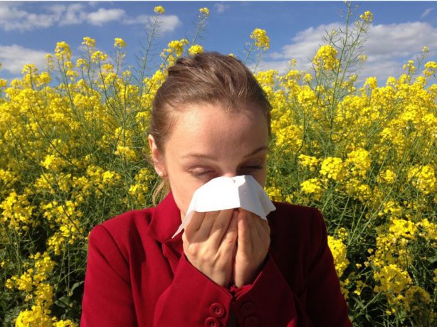 Тест на аллергию
