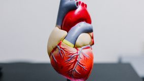Тест состояния сердца