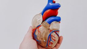 Стоимость пересадки сердца в Германии